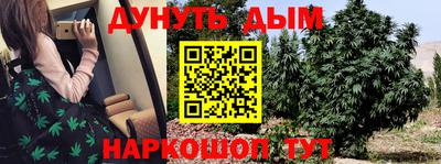 гидра Краснодар